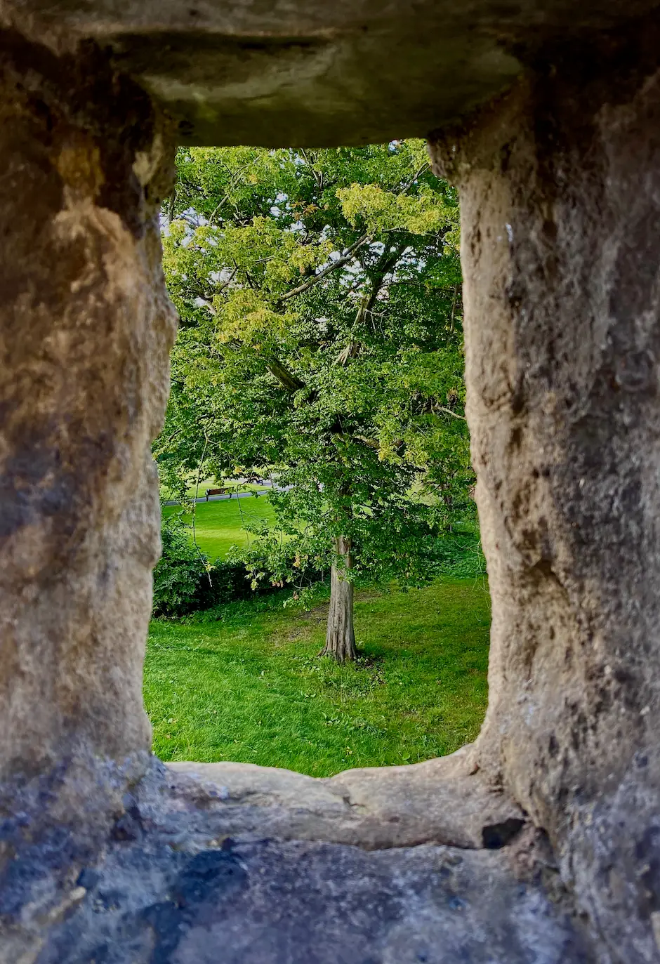 window 2