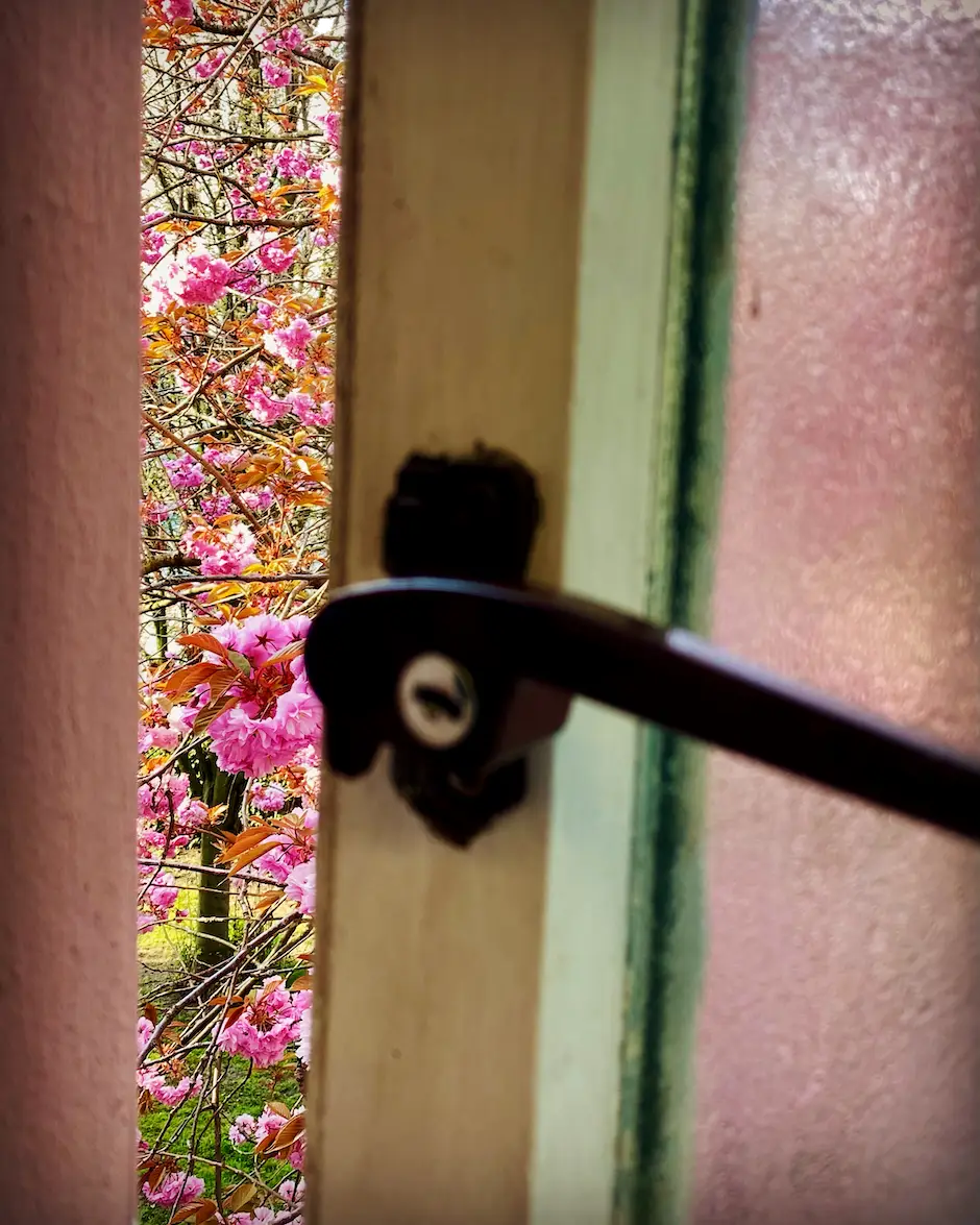 window