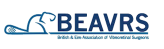 beavrs logo 4